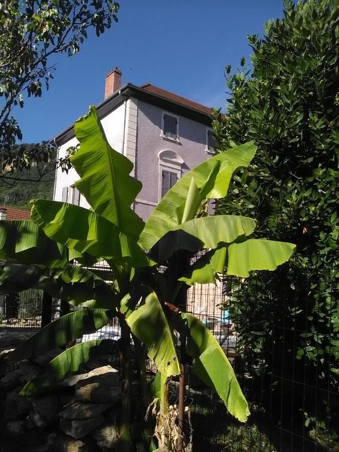 Pensión A Deux Pas Du Rheby Villebois